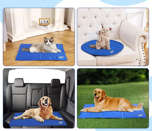 Alfombra Refrescante para Mascotas: Confort Autónomo para Tu Mejor Amigo