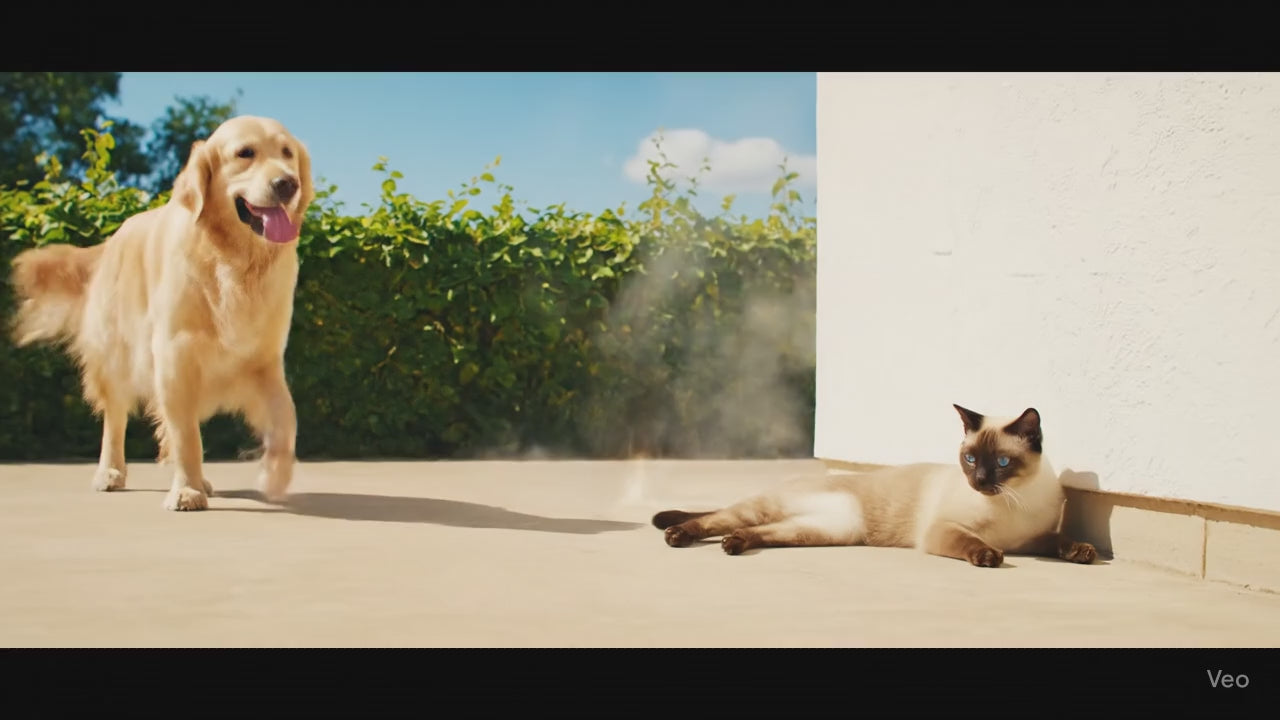 se observa unas mascotas sufriendo por el calor. inmediatamente se les facilita la manta fría de DLCYLSL y se sienten aliviados instantáneamente. 